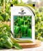 Capsicum Green - Image 1
